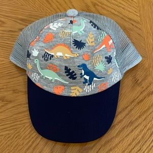 2T-5T Cat & Jack Hat